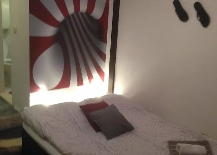 Dragazzo * טרוגיר